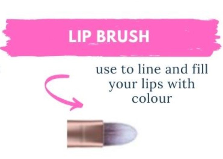 12 Types of Makeup Brushes and Their Uses 14 how to use a lip brush