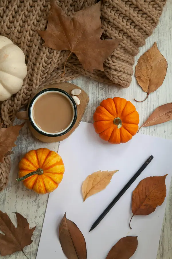25 Fun Fall Bucket List Ideas to Try This Season 8 25 Fun Fall Bucket List Ideas to Try This Season 8 25 Fun Fall Bucket List Ideas to Try This Season