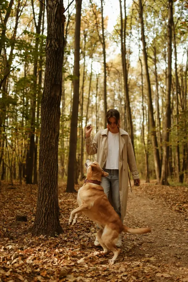 20 Realistic Fall Bucket List Ideas (You Can Actually Do) 4 20 Realistic Fall Bucket List Ideas (You Can Actually Do) 4 20 Realistic Fall Bucket List Ideas (You Can Actually Do)