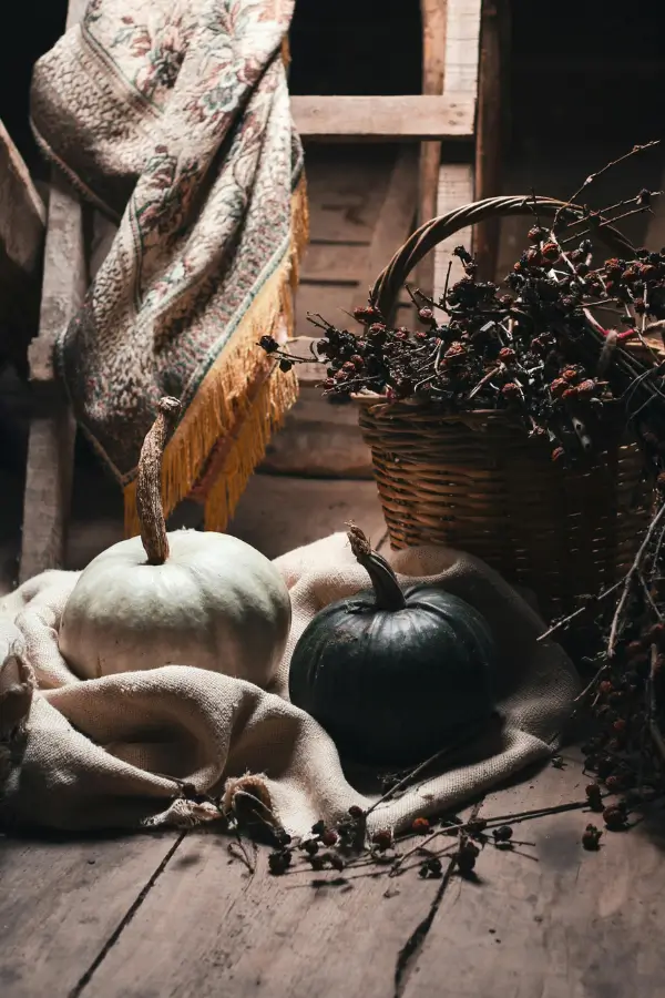 25 Fun Fall Bucket List Ideas to Try This Season 13 25 Fun Fall Bucket List Ideas to Try This Season 13 25 Fun Fall Bucket List Ideas to Try This Season